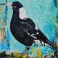 Union Garden -Magpie
