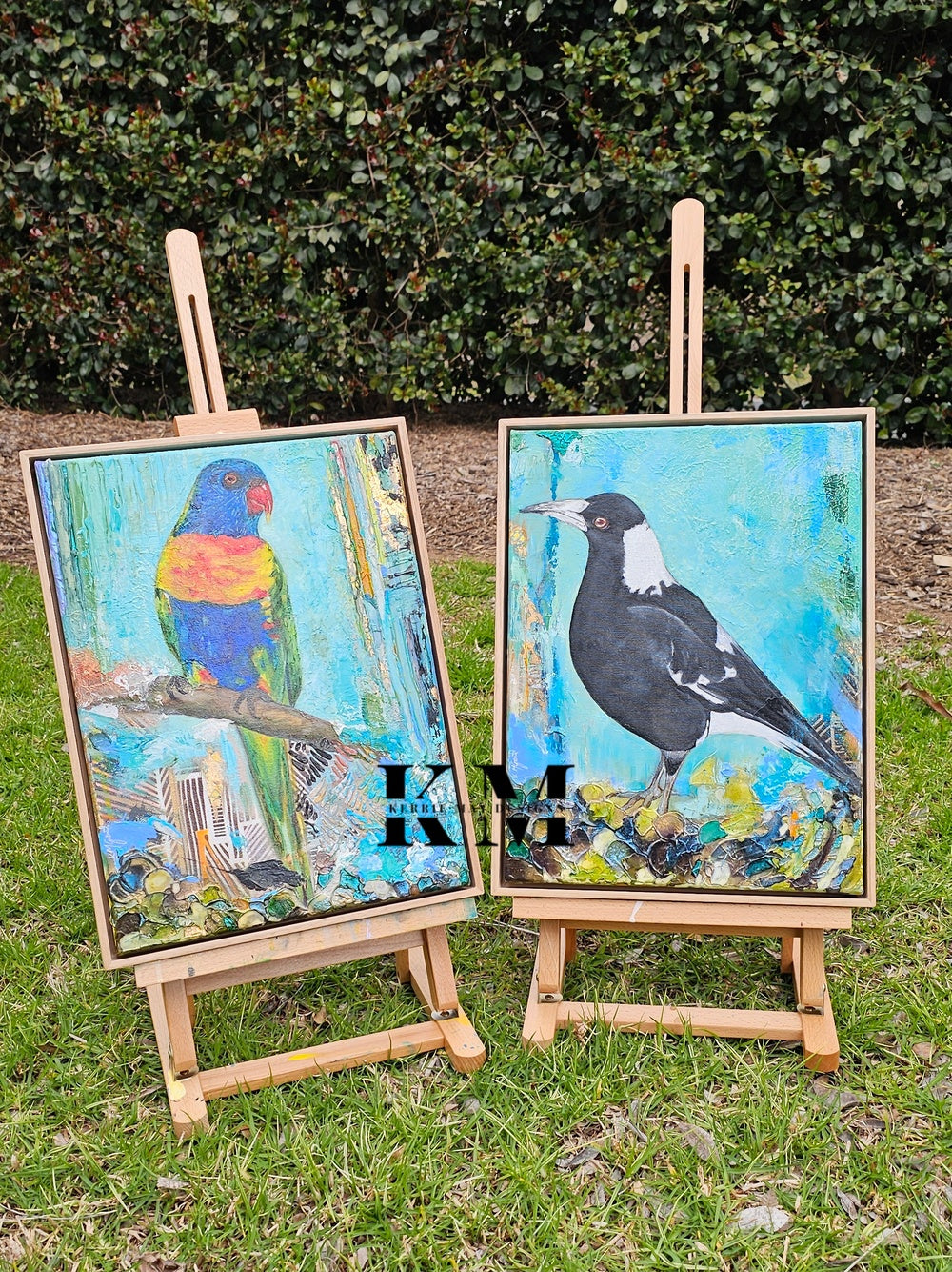 Currently on Exhibition -Union Garden - Lorikeet