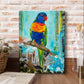 Currently on Exhibition -Union Garden - Lorikeet