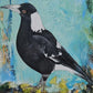 Union Garden -Magpie